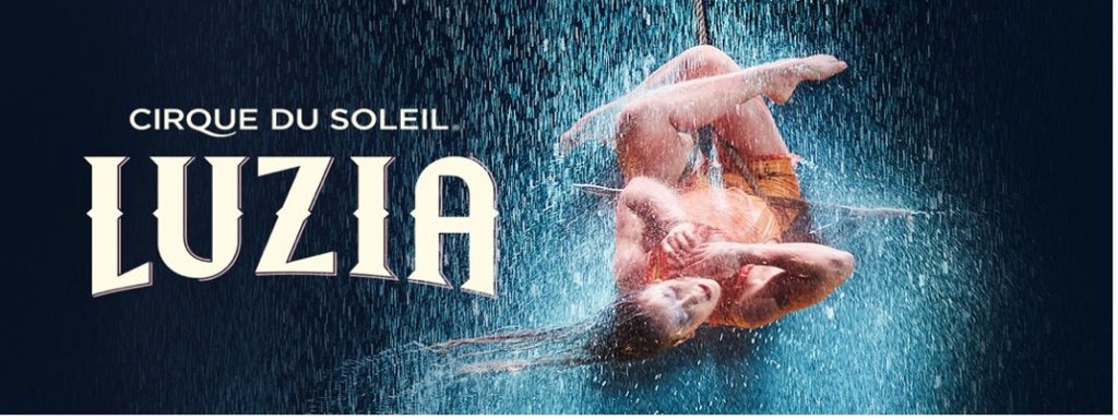 Cirque du soleil miembro cámara de comercio canadá españa